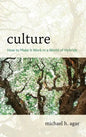Culture: How to Make It Work in a World of Hybrids - Paperback