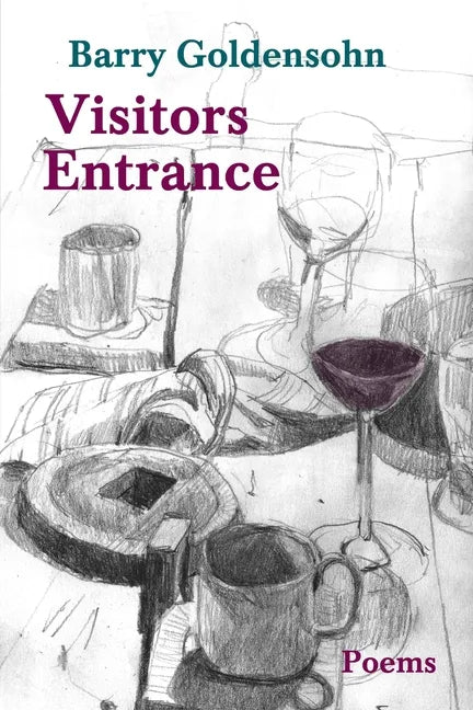 Visitors Entrance - Paperback