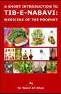 A Short Introduction to Tib-E-Nabavi: Medicine of the Prophet - Paperback