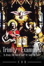 Trinity - Examined: Is Jesus, the Son of God? Or, God, the Son? - Paperback