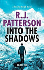 Into the Shadows - Paperback