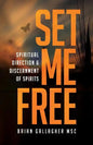 Set Me Free: Spiritual Direction & Discernment of Spirits - Paperback