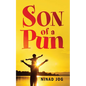 Son of a Pun - Paperback