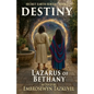 Destiny: Secret Earth Series Book 2 - Paperback