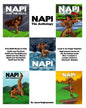NAPI - The Anthology: Level 3 Reader - Paperback
