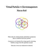 Virtual Particles in Electromagnetism - Paperback