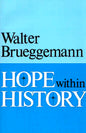 Hope Within History - Paperback