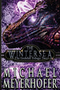 The Wintersea - Paperback