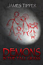 Demons in the Tall Grass - Paperback