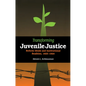 Transforming Juvenile Justice: Reform Ideals and Institutional Realities, 1825-1920 - Paperback