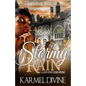 Stormy Rain - Paperback