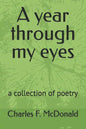 A year through my eyes: a collection of poetry - Paperback