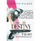 The Destiny Point Experience - Paperback