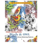 Coloring Book for Adult: Owls & Birds: Relaxation Designs to Color! - Paperback