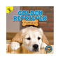 Golden Retriever Puppies - Paperback