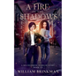 A Fire in the Shadows: A Bolingbrook Babbler Story - Paperback