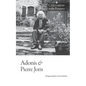 Conversations in the Pyrenees - Paperback