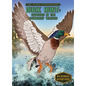 Duck Hunt: Capsized in the Boundary Waters: Capsized in the Boundary Waters - Library Binding