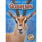 Gazelles - Library Binding