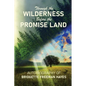 Through the Wilderness Before the Promise Land - Paperback