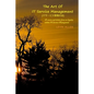 The Art of IT Service Management: A concise and holistic focus on quality within it service management - Paperback