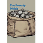 Poverty Divide: Understanding the Struggles and Solutions - Paperback