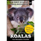 Koalas: Furry Marsupials of Australia - Paperback