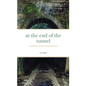 at the end of the tunnel: a collection of short stories and prose - Paperback