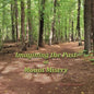 Imagining the Past at Mount Misery - Paperback