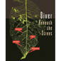 Diver Beneath the Street - Paperback