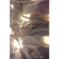 But I've Got a Heart of Gold and Ivory Bones - Paperback