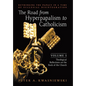 The Road from Hyperpapalism to Catholicism: Rethinking the Papacy in a Time of Ecclesial Disintegration: Volume 1 (Theological Reflections on the Rock - Hardcover