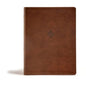CSB Life Connections Study Bible, Brown Leathertouch: For Personal or Small Group Study - Leather