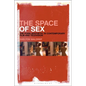 The Space of Sex: The Porn Aesthetic in Contemporary Film and Television - Paperback