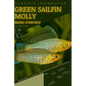 Green Sailfin Molly: From Novice to Expert. Comprehensive Aquarium Fish Guide - Paperback