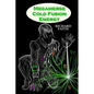 Megamerse Cold Fusion Energy - Paperback