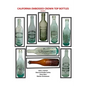 California Embossed Crown Top Bottles - Paperback