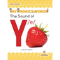 The Sound of Y /E - Paperback