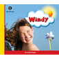 Eye on the Sky: Windy - Paperback