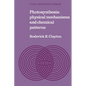 Photosynthesis: Physical Mechanisms and Chemical Patterns - Paperback