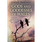 Pagan Portals - Gods and Goddesses of Wales: A Practical Introduction to Welsh Deities and Their Stories - Paperback