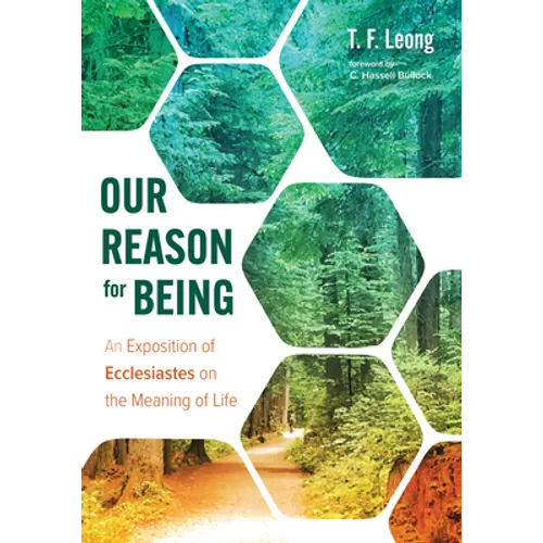 Our Reason for Being: An Exposition of Ecclesiastes on the Meaning of Life - Paperback