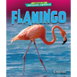 Flamingo - Library Binding