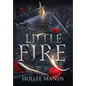 Little Fire - Hardcover