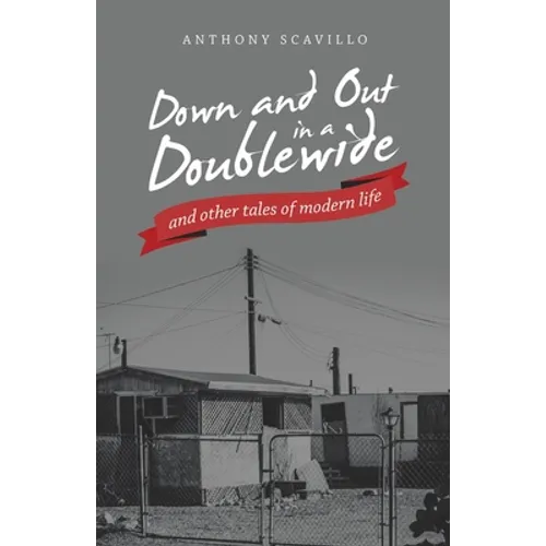 Down and out in a Doublewide and Other Tales of Modern Life - Paperback