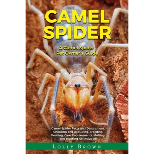 Camel Spider: A Camel Spider Pet Owner's Guide - Paperback