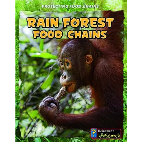 Rain Forest Food Chains - Paperback