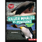 Killer Whales vs. Penguins: Food Chain Fights - Paperback
