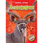 Antelopes - Library Binding