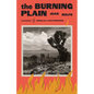 The Burning Plain - Paperback